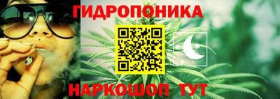 гидра Вязьма