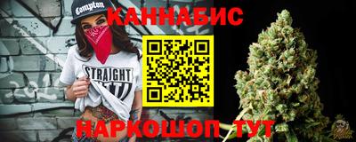 гидра Вязьма