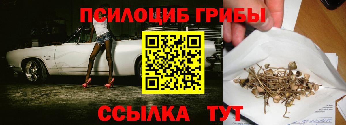 Псилоцибиновые грибы MAGIC MUSHROOMS Тимашёвск