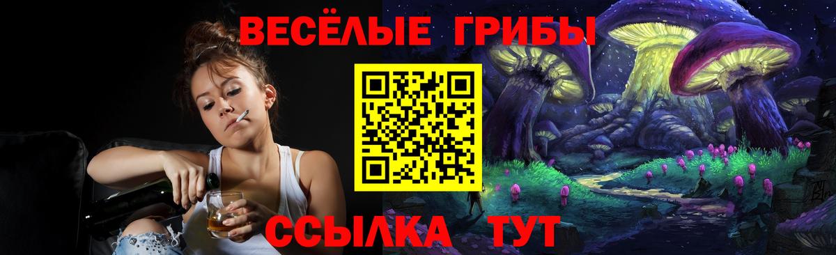 Галлюциногенные грибы Magic Shrooms  Вход с VPN  Тимашёвск 